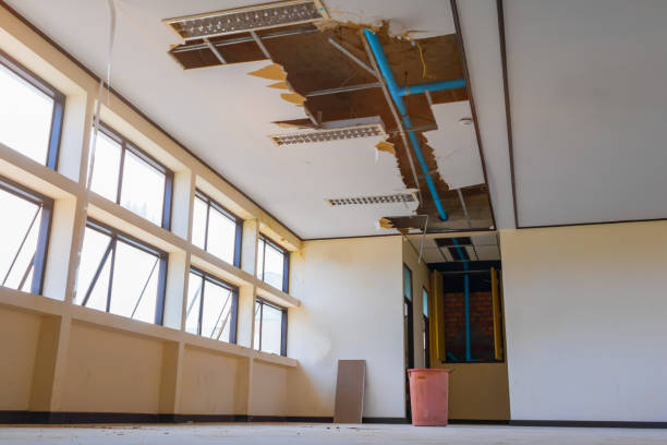 Best Mold removal after water damage  in Union City, CA