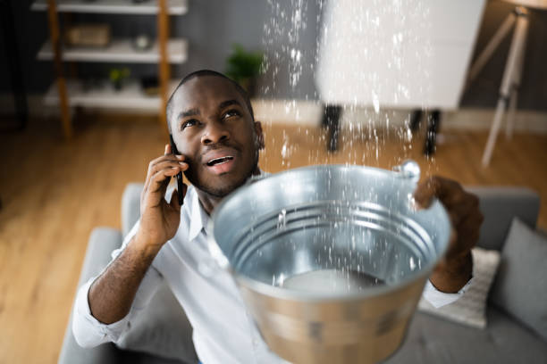 Best Fire Damage Restoration  in Union City, CA