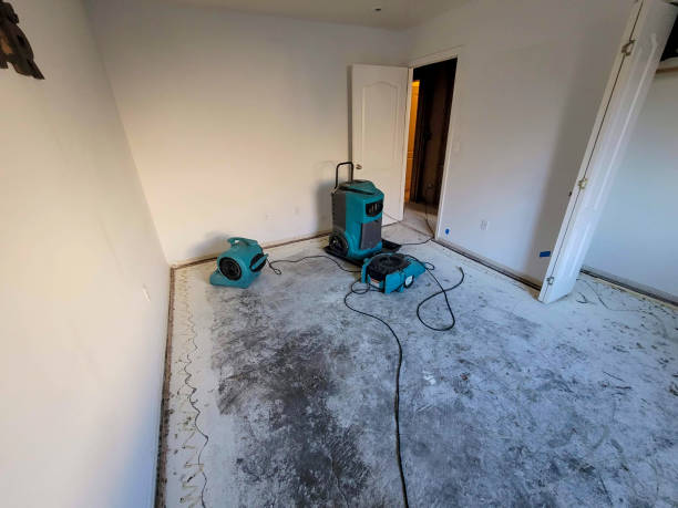 Best Local water damage restoration  in Union City, CA