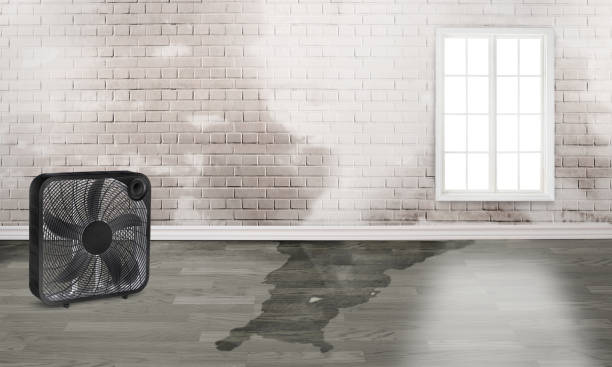 Best Commercial water damage restoration  in Union City, CA