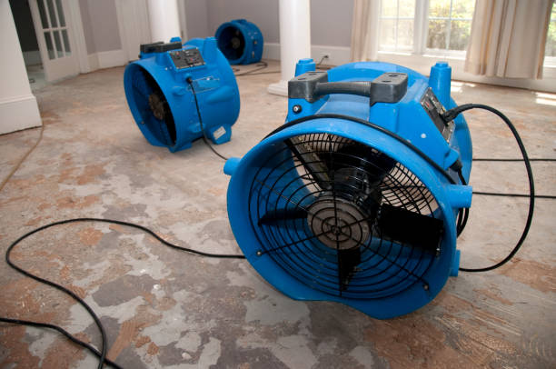  Union City, CA Water damage restoration Pros