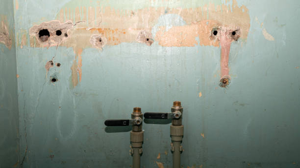 Best 24/7 water damage repair  in Union City, CA