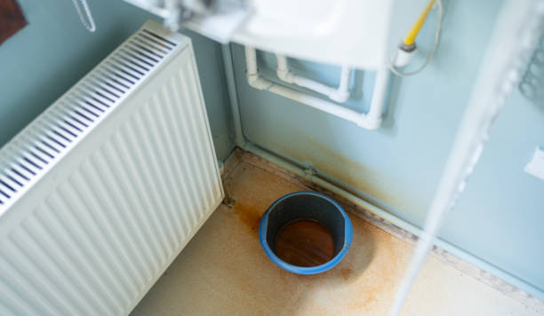 Best Water damage cleanup near me  in Union City, CA