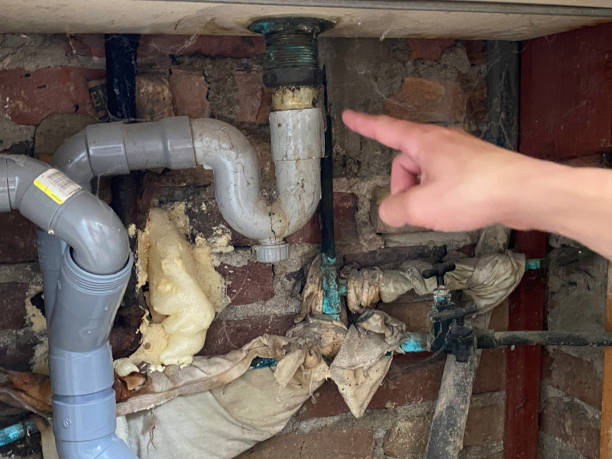 Best Water damage restoration near me  in Union City, CA