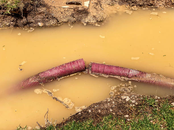 Best Carpet water damage restoration  in Union City, CA