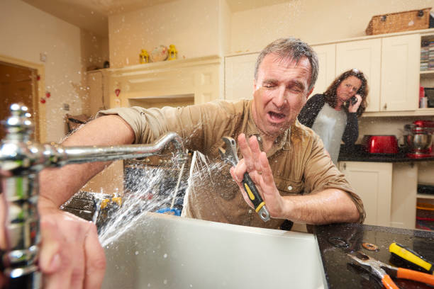 Best Flooded house restoration  in Union City, CA